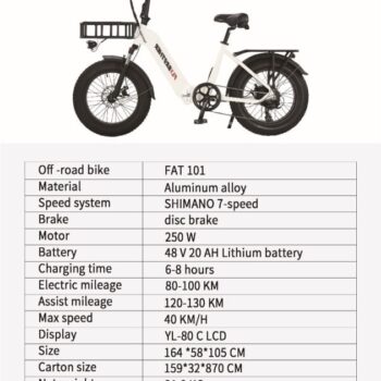 FAT 101 ELECTRIC BIKE
